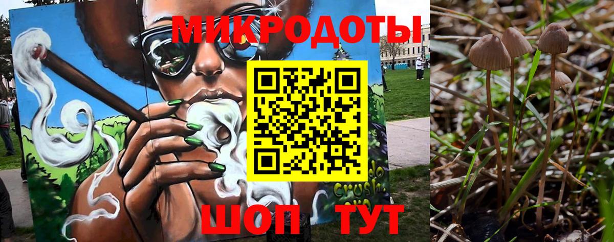 Галлюциногенные грибы прущие грибы Мценск