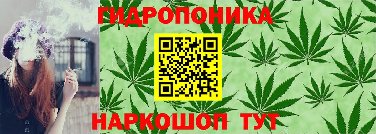 Марихуана SATIVA & INDICA  Вход с VPN  Марихуана конопля  Бошки Шишки Bruce Banner  Мценск 